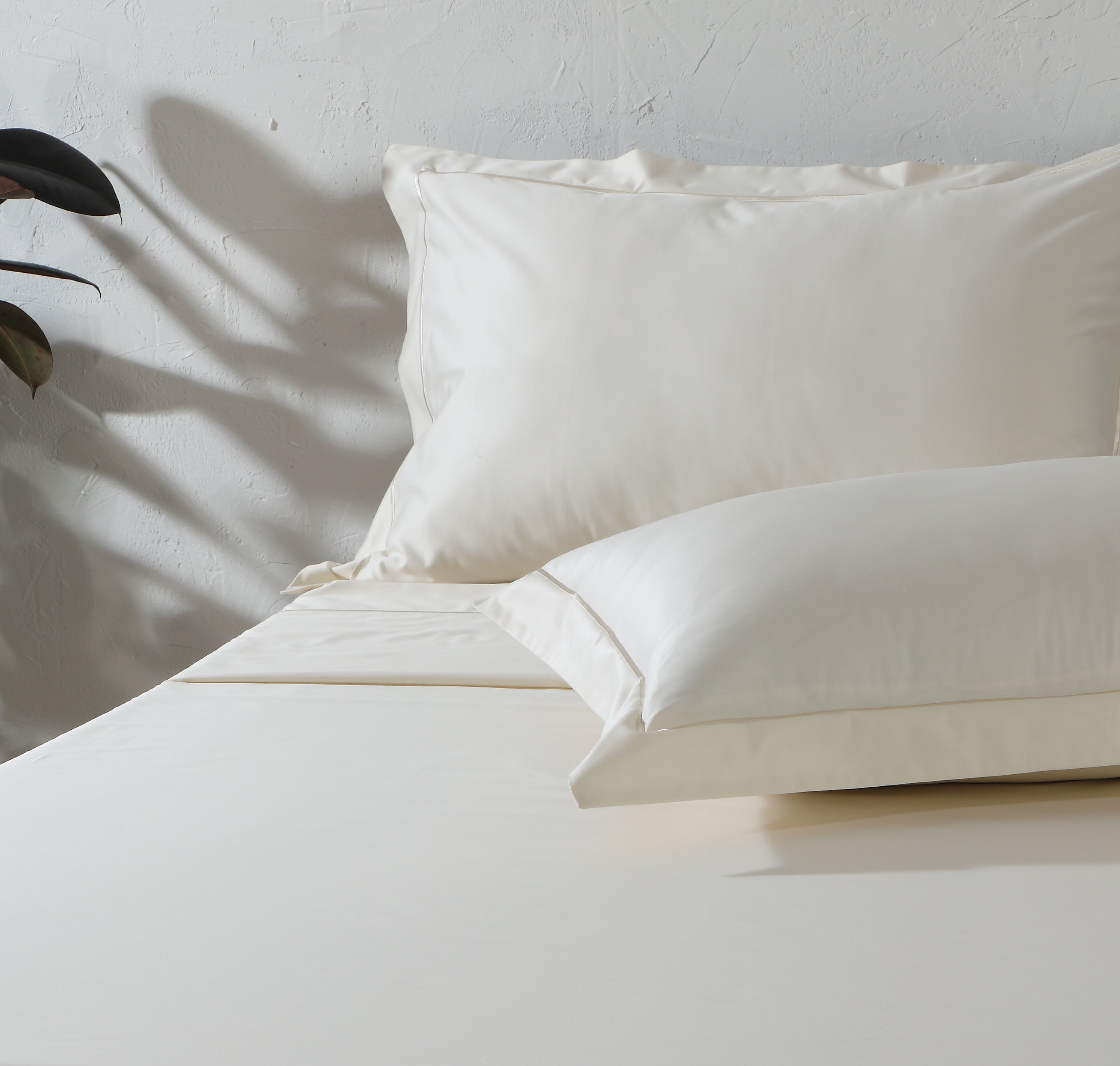 600TC 100% ORGANIC COTTON EMBROIDERED SHEET SET - IVORY